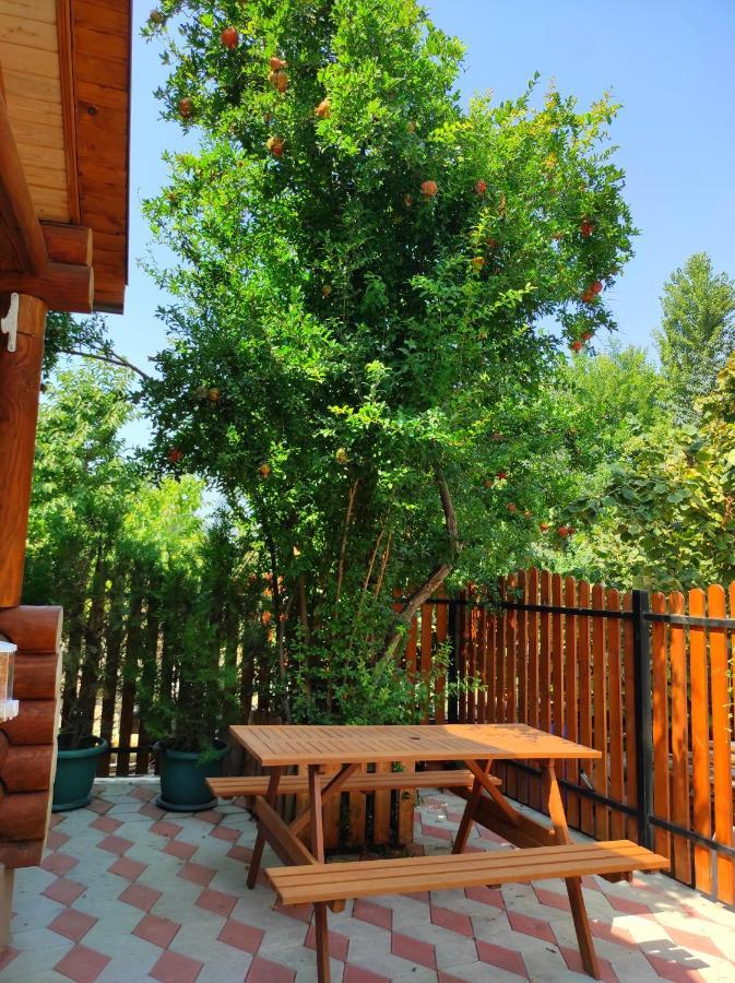 Old Tbilisi Villa Costa エクステリア 写真